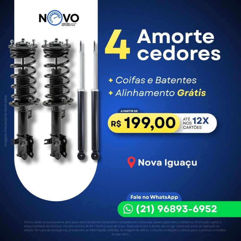AMORTECEDOR (2)